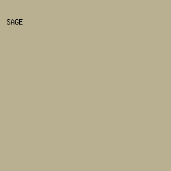 B9AF91 - Sage color image preview