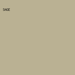 BAB193 - Sage color image preview