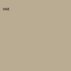 baab93 - Sage color image preview