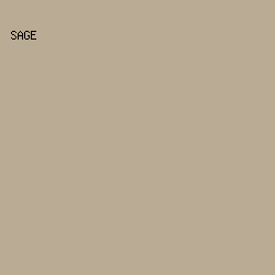 baab94 - Sage color image preview