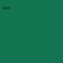 127451 - Salem color image preview