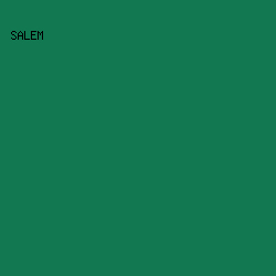 127852 - Salem color image preview