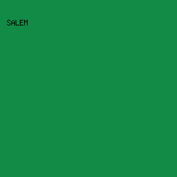128b46 - Salem color image preview