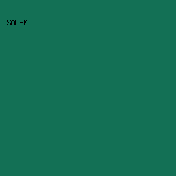 137055 - Salem color image preview