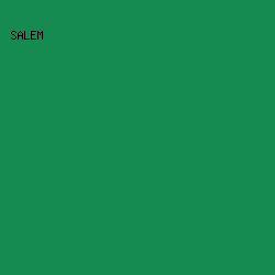 158B51 - Salem color image preview