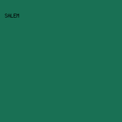 197054 - Salem color image preview