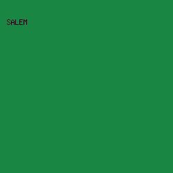 198643 - Salem color image preview
