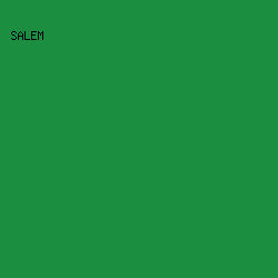 1C8E40 - Salem color image preview