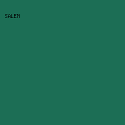 1c6e55 - Salem color image preview