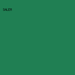 207f53 - Salem color image preview