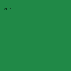 208947 - Salem color image preview