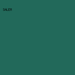 22695A - Salem color image preview