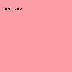 FE9CA5 - Salmon Pink color image preview