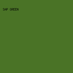 4A7326 - Sap Green color image preview