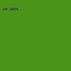 4a9419 - Sap Green color image preview