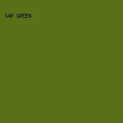 587018 - Sap Green color image preview