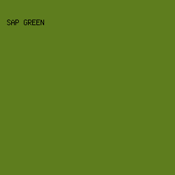 5e7d1e - Sap Green color image preview