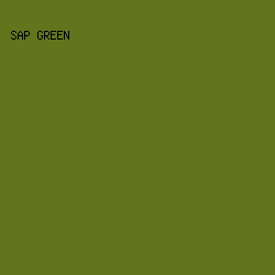 62751c - Sap Green color image preview