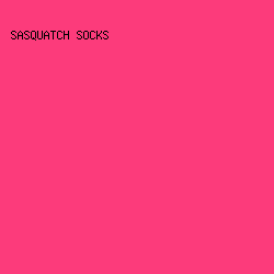 FC3B7B - Sasquatch Socks color image preview