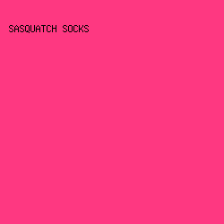 FE3881 - Sasquatch Socks color image preview