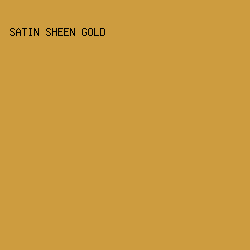 CD9C3F - Satin Sheen Gold color image preview