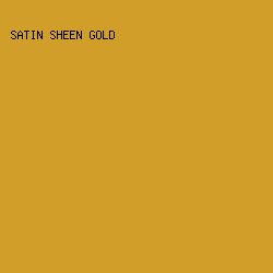 D19E2A - Satin Sheen Gold color image preview
