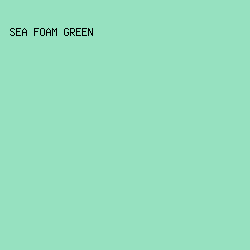 96e1c0 - Sea Foam Green color image preview