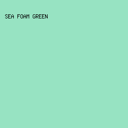 97E3C2 - Sea Foam Green color image preview