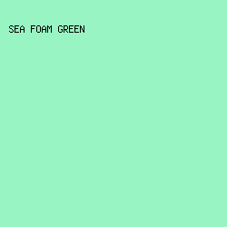 98F5C3 - Sea Foam Green color image preview