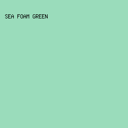 9ADCBB - Sea Foam Green color image preview
