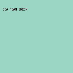 9BD6C4 - Sea Foam Green color image preview