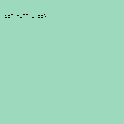 9CD9BD - Sea Foam Green color image preview