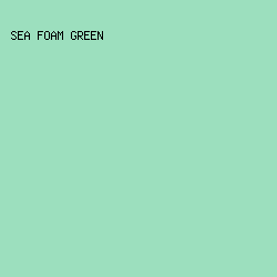 9CDFBE - Sea Foam Green color image preview