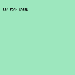 9DE7BE - Sea Foam Green color image preview