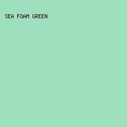 9EE0BE - Sea Foam Green color image preview