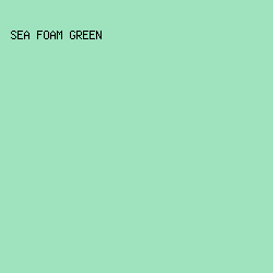 9FE2BE - Sea Foam Green color image preview