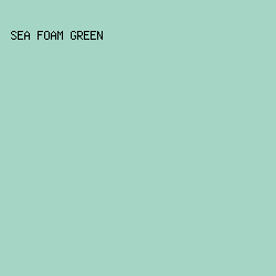 A5D5C5 - Sea Foam Green color image preview