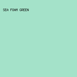 a4e2c9 - Sea Foam Green color image preview