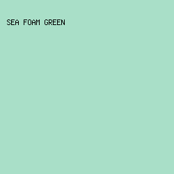a9dfc8 - Sea Foam Green color image preview