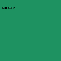 1E9261 - Sea Green color image preview