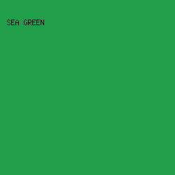 219e4a - Sea Green color image preview