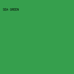 369f4d - Sea Green color image preview