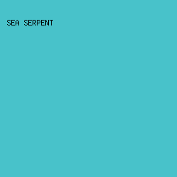 48c2ca - Sea Serpent color image preview