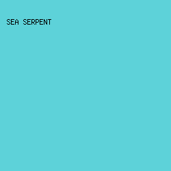 5DD2D9 - Sea Serpent color image preview