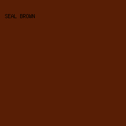 581E05 - Seal Brown color image preview