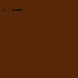 582707 - Seal Brown color image preview