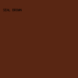 592613 - Seal Brown color image preview