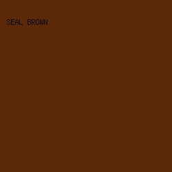 5B2907 - Seal Brown color image preview