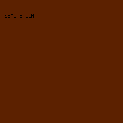 5C2100 - Seal Brown color image preview