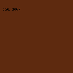 5E2A0F - Seal Brown color image preview